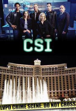犯罪現場調查 第二季(CSI: Crime Scene Investigation Season 2)