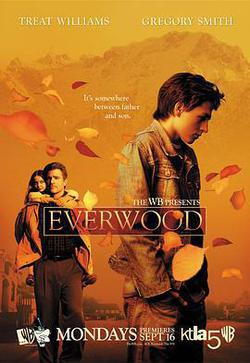 雪山鎮 第一季(Everwood Season 1)
