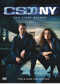 犯罪現場調查：紐約 第一季(CSI: NY Season 1)