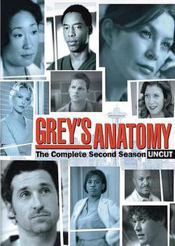 實習醫生格蕾 第二季(Grey's Anatomy Season 2)