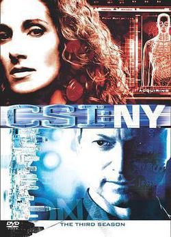 犯罪現場調查：紐約 第三季(CSI: NY Season 3)
