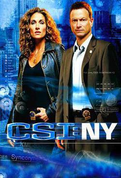 犯罪現場調查：紐約 第四季(CSI: NY Season 4)
