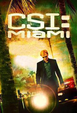 犯罪現場調查：邁阿密 第六季(CSI: Miami Season 6)