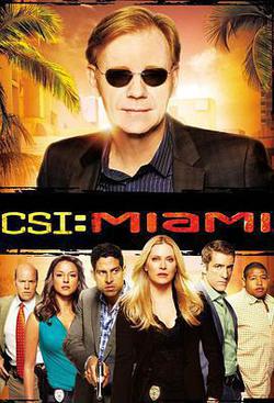 犯罪現場調查：邁阿密 第八季(CSI: Miami Season 8)