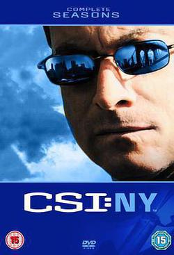 犯罪現場調查：紐約 第六季(CSI: NY Season 6)