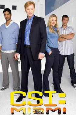 犯罪現場調查：邁阿密 第九季(CSI: Miami Season 9)