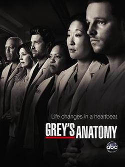 實習醫生格蕾 第七季(Grey's Anatomy Season 7)