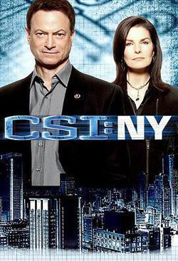 犯罪現場調查：紐約 第七季(CSI: NY Season 7)