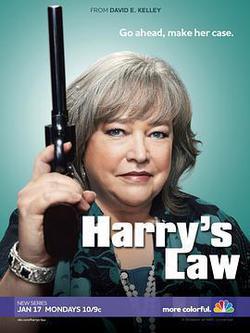 鞋店事務所 第一季(Harry’s Law Season 1)