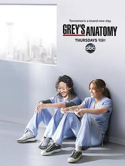 實習醫生格蕾 第八季(Grey's Anatomy Season 8)