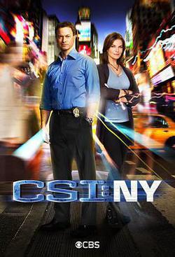 犯罪現場調查：紐約 第八季(CSI: NY Season 8)