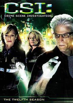 犯罪現場調查 第十二季(CSI: Crime Scene Investigation Season 12)