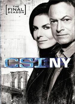 犯罪現場調查：紐約 第九季(CSI: NY Season 9)