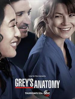 實習醫生格蕾 第十季(Grey's Anatomy Season 10)