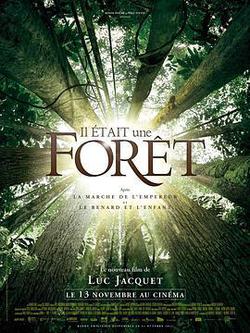 從前有座森林(Il était une Forêt)