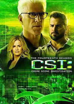犯罪現場調查 第十四季(CSI: Crime Scene Investigation Season 14)