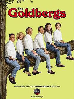 戈德堡一家 第二季(The Goldbergs Season 2)
