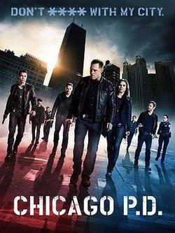 芝加哥警署 第一季(Chicago P.D. Season 1)