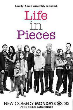 生活點滴 第一季(Life in Pieces Season 1)