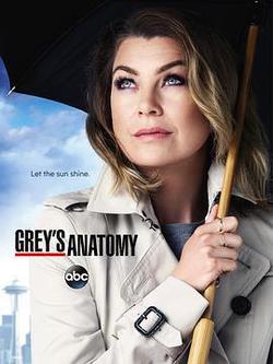 實習醫生格蕾 第十二季(Grey's Anatomy Season 12)
