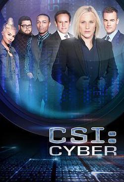 網絡犯罪調查 第二季(CSI: Cyber Season 2)