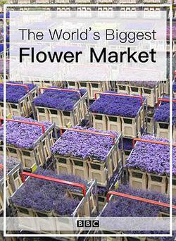 世界上最大的鮮花市場(The World's Biggest Flower Market)