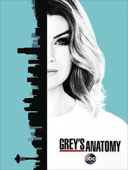 實習醫生格蕾 第十三季(Grey's Anatomy Season 13)