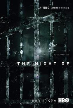 罪夜之奔(The Night Of)
