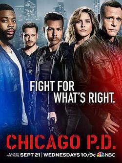 芝加哥警署 第四季(Chicago P.D. Season 4)