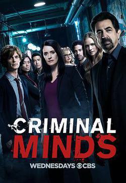 犯罪心理 第十三季(Criminal Minds Season 13)