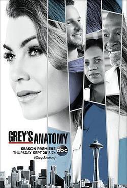 實習醫生格蕾 第十四季(Grey's Anatomy Season 14)