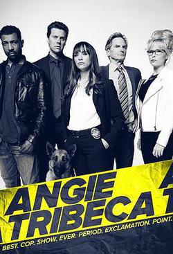 爆笑女警 第四季(Angie Tribeca Season 4)