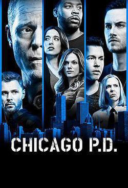 芝加哥警署 第六季(Chicago P.D. Season 6)