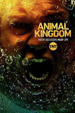 野獸家族 第三季(Animal Kingdom Season 3)