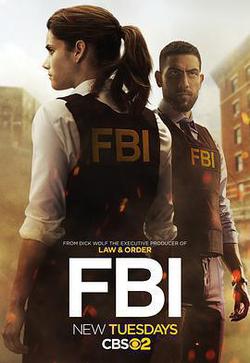聯邦調查局 第一季(FBI Season 1)