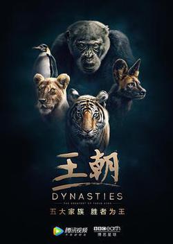 王朝 第一季(Dynasties Season 1)