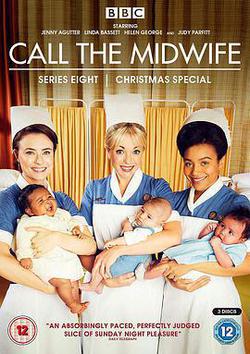 呼叫助產士 第八季(Call the Midwife Season 8)