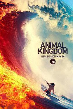 野獸家族 第四季(Animal Kingdom Season 4)
