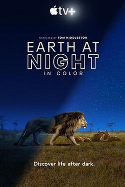 夜色中的地球 第一季(Earth at Night in Color Season 1)