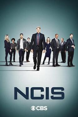海軍罪案調查處 第十八季(NCIS: Naval Criminal Investigative Service Season 18)