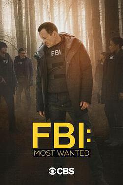 聯邦調查局：通緝要犯 第二季(FBI: Most Wanted Season 2)