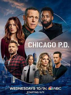 芝加哥警署 第八季(Chicago P.D. Season 8)