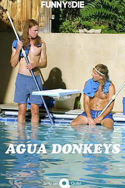 水驢清潔公司(Agua Donkeys)