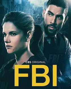 聯邦調查局 第四季(FBI Season 4)