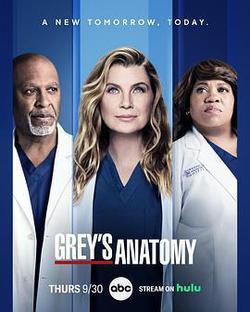 實習醫生格蕾 第十八季(Grey's Anatomy Season 18)