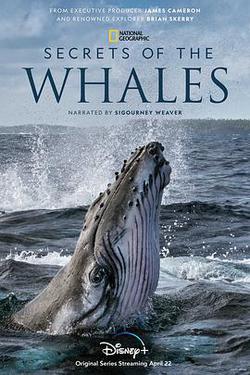 鯨的秘密(Secrets of the Whales)