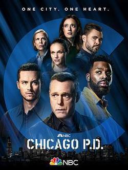 芝加哥警署 第九季(Chicago P.D. Season 9)