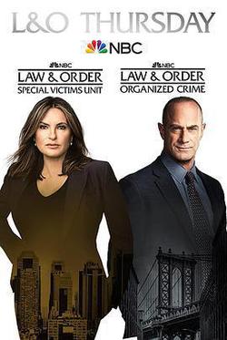 法律與秩序：特殊受害者 第二十三季(Law & Order: Special Victims Unit Season 23)