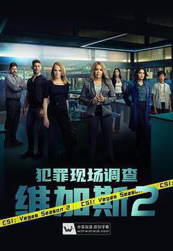 犯罪現場調查：維加斯 第二季(CSI: Vegas Season 2)