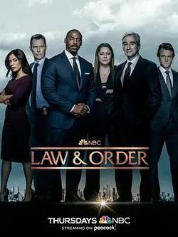 法律與秩序 第二十二季(Law & Order Season 22)